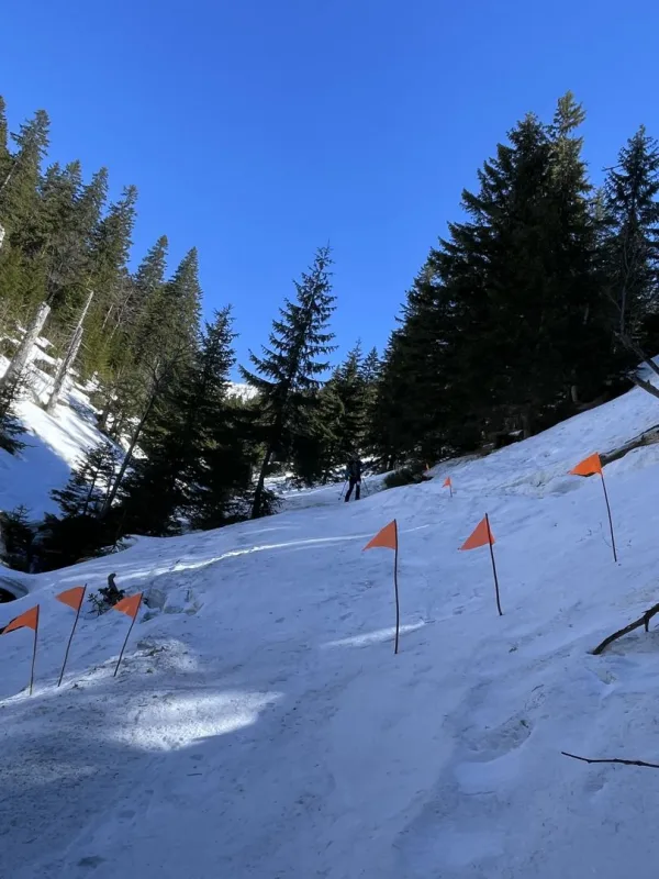 MediSkialp